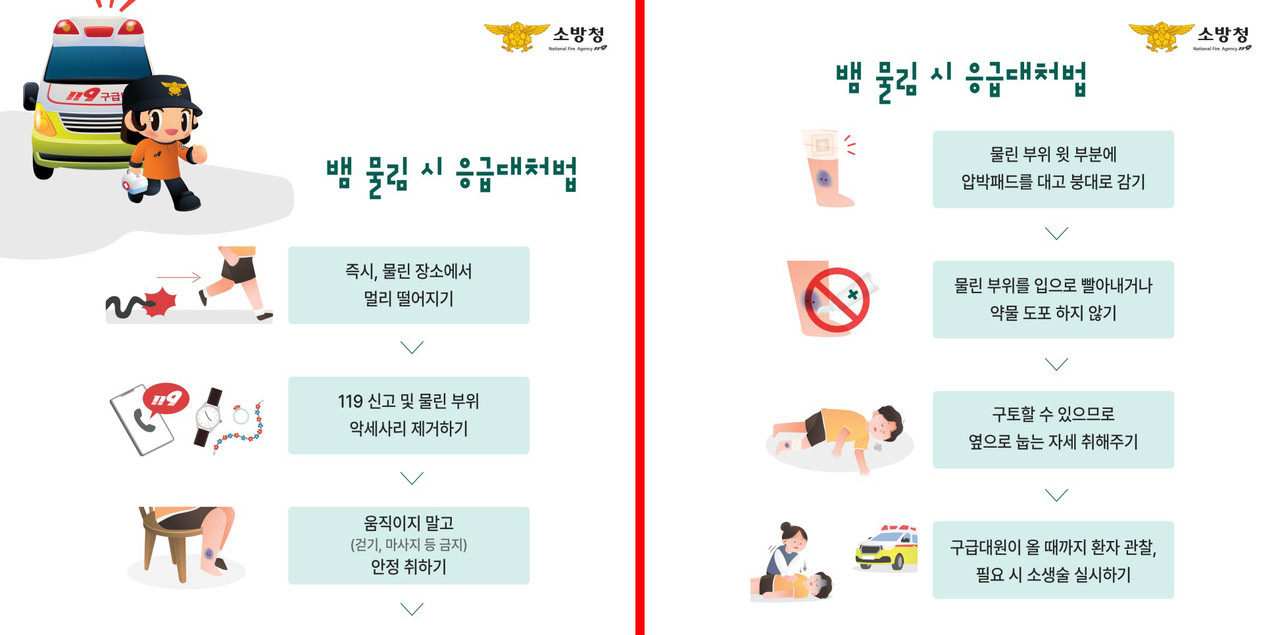 뱀 물림 시 응급처치법