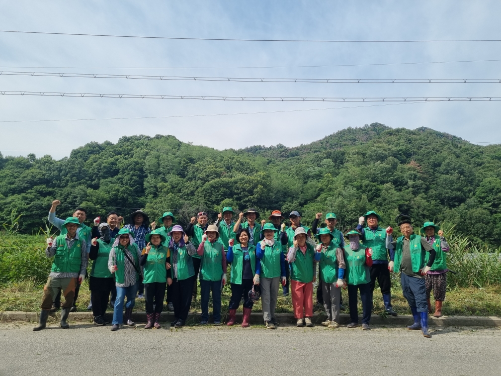 개령면 새마을남녀협의회에서 깨끗한 도로를 위해서 도로변 풀베기 시행했다.